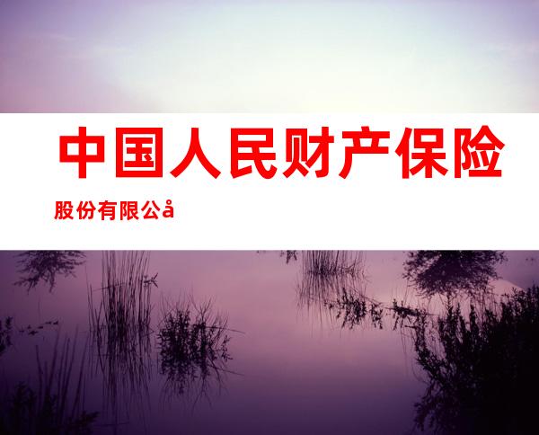 中国人民财产保险股份有限公司民丰支公司